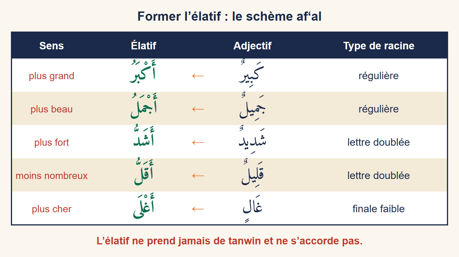 Tableau : cinq adjectifs arabes et leur élatif, classés selon le type de racine (régulière, lettre doublée, finale faible)