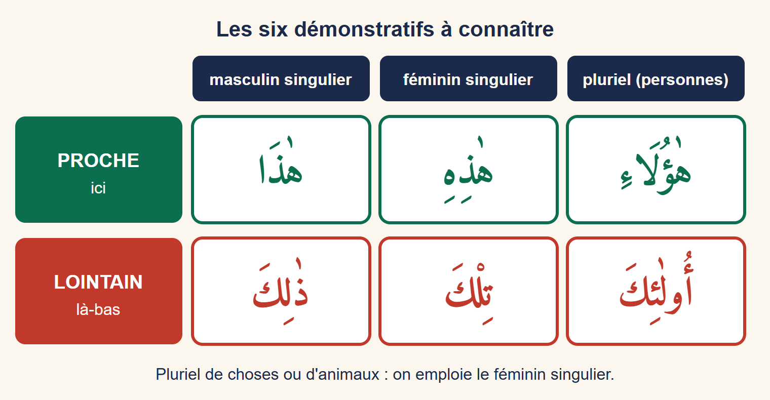 Tableau en deux lignes, vert pour le proche et rouge pour le lointain, avec les six démonstratifs selon le genre et le nombre