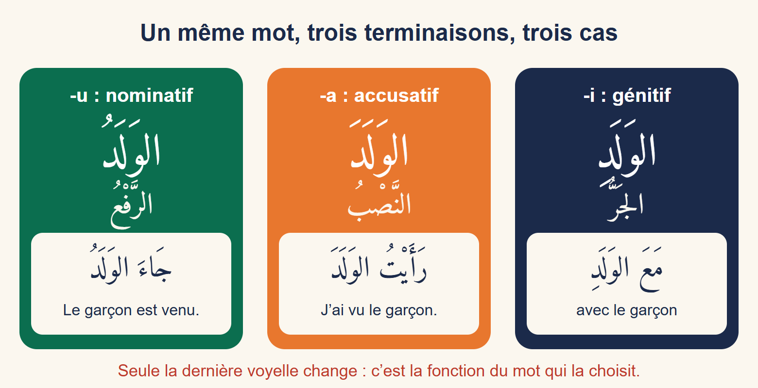Trois cartes colorées montrant le mot al-walad avec les terminaisons -u, -a et -i, chacune avec une phrase d’exemple traduite