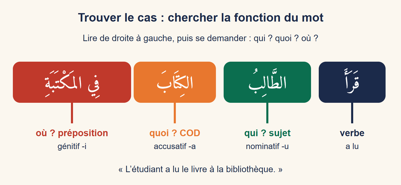 Schéma de la phrase qara’a t-tālibu l-kitāba fī l-maktabati : verbe, sujet au nominatif, COD à l’accusatif, préposition suivie du génitif
