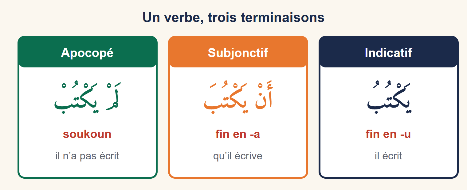 Trois colonnes : indicatif yaktubu terminé par u, subjonctif an yaktuba terminé par a, apocopé lam yaktub terminé par un soukoun