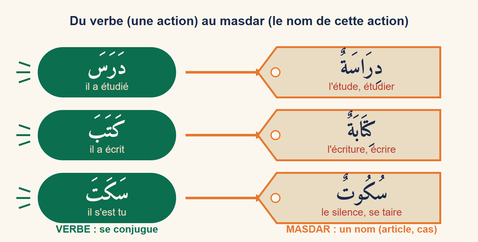 Trois verbes arabes dans des bulles vertes, transformés par une flèche en trois étiquettes-noms : dirasa, kitaba, sukut
