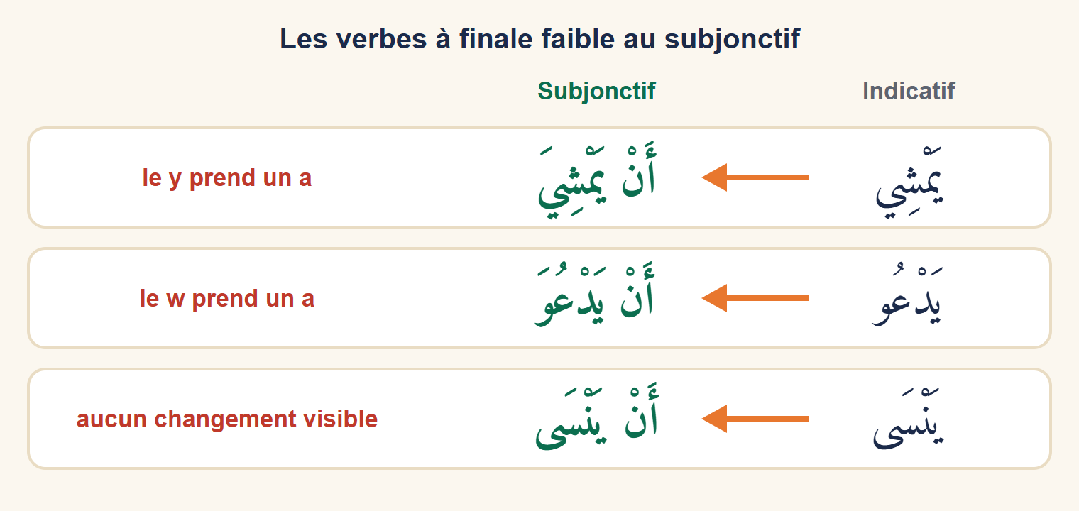 Trois lignes : yamshi devient an yamshiya (le y prend un a), yad‘u devient an yad‘uwa (le w prend un a), yansa devient an yansa sans changement visible.