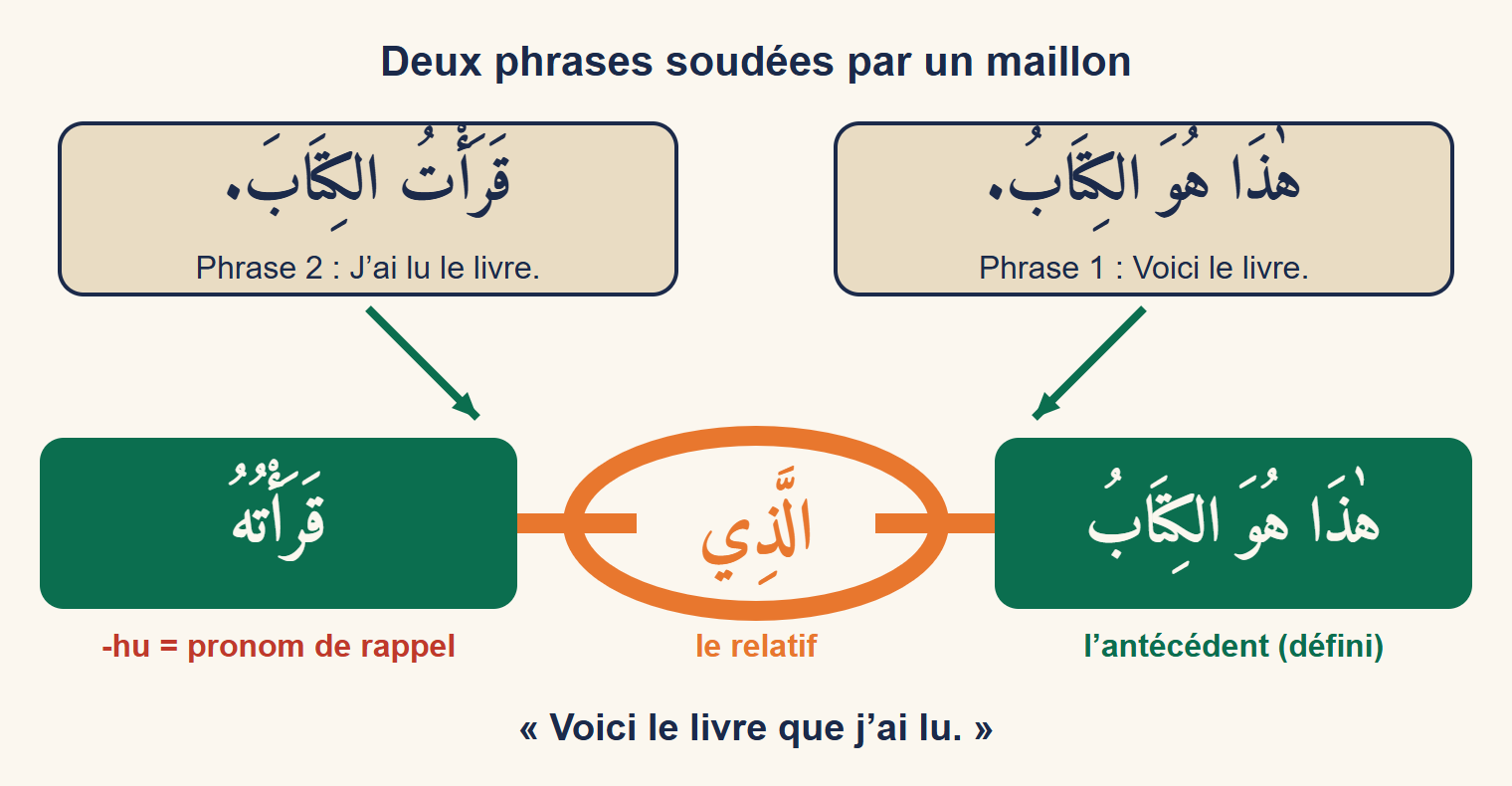 Deux phrases arabes dans des cases beiges, « Voici le livre » et « J’ai lu le livre », fusionnent en une seule phrase verte : l’antécédent al-kitābu à droite, un maillon de chaîne orange portant alladhī au milieu, et le verbe qaraʾtuhu à gauche, dont la terminaison -hu est le pronom de rappel.