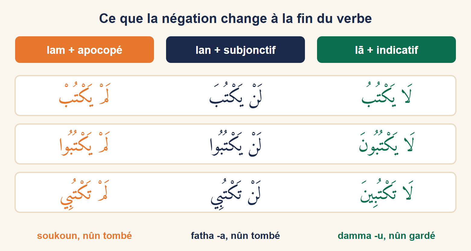 Tableau comparant لَا يَكْتُبُ, لَنْ يَكْتُبَ et لَمْ يَكْتُبْ, puis les mêmes formes au pluriel et au féminin