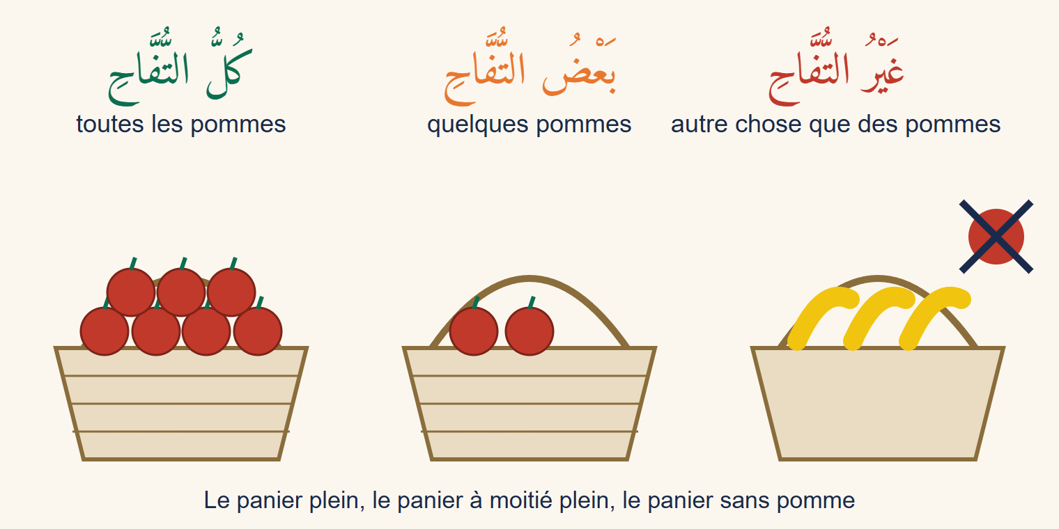 Trois paniers : un plein de pommes rouges, un avec seulement deux pommes, un rempli de bananes avec une pomme barrée, et les mots arabes kull, baʿḍ et ghayr au-dessus