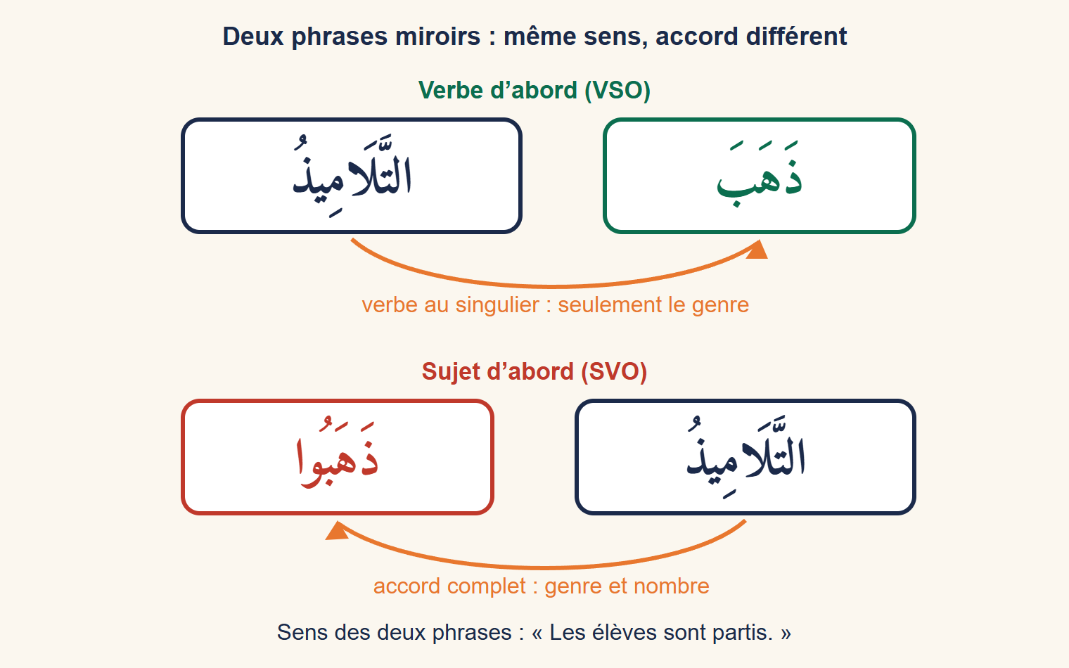 Deux phrases miroirs : en haut dhahaba at-talāmīdhu, verbe au singulier ; en bas at-talāmīdhu dhahabū, verbe au pluriel ; des flèches montrent l’accord
