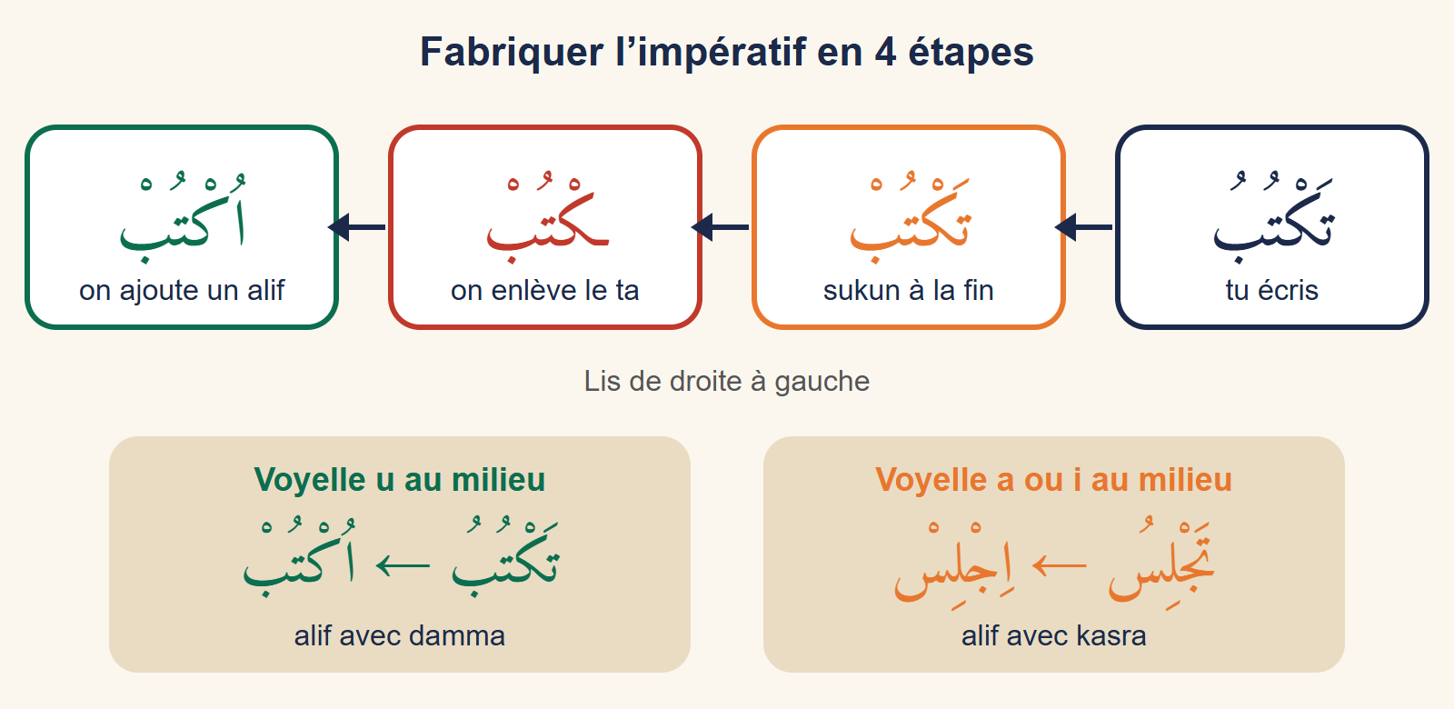 Schéma en quatre étapes : taktubu, taktub avec sukun, on enlève le ta, on ajoute un alif : uktub ; puis deux exemples de la voyelle de l'alif : uktub et ijlis