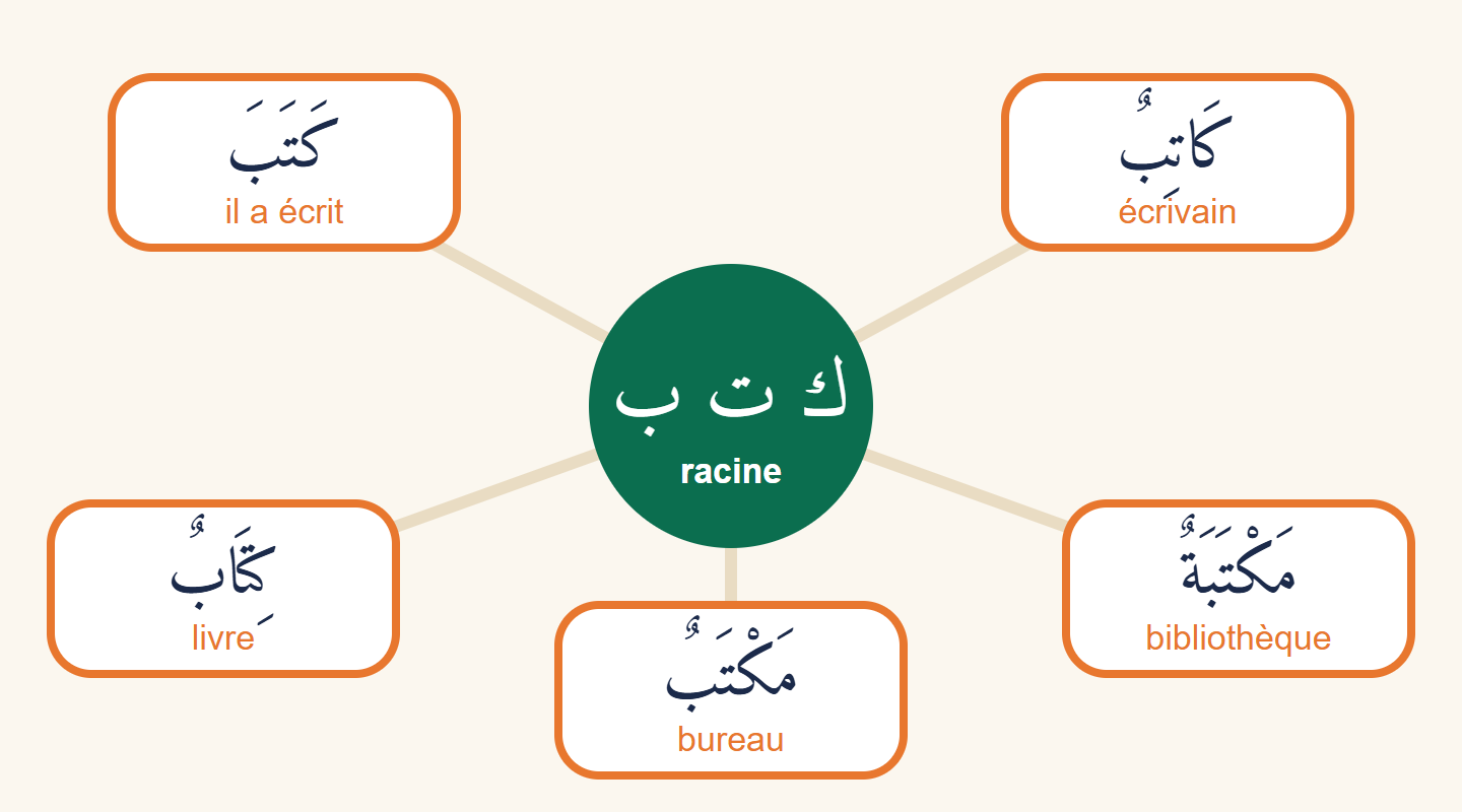 Carte mentale : au centre la racine kāf tā' bā', et autour cinq bulles reliées : kataba, kātib, kitāb, maktab, maktaba avec leur traduction