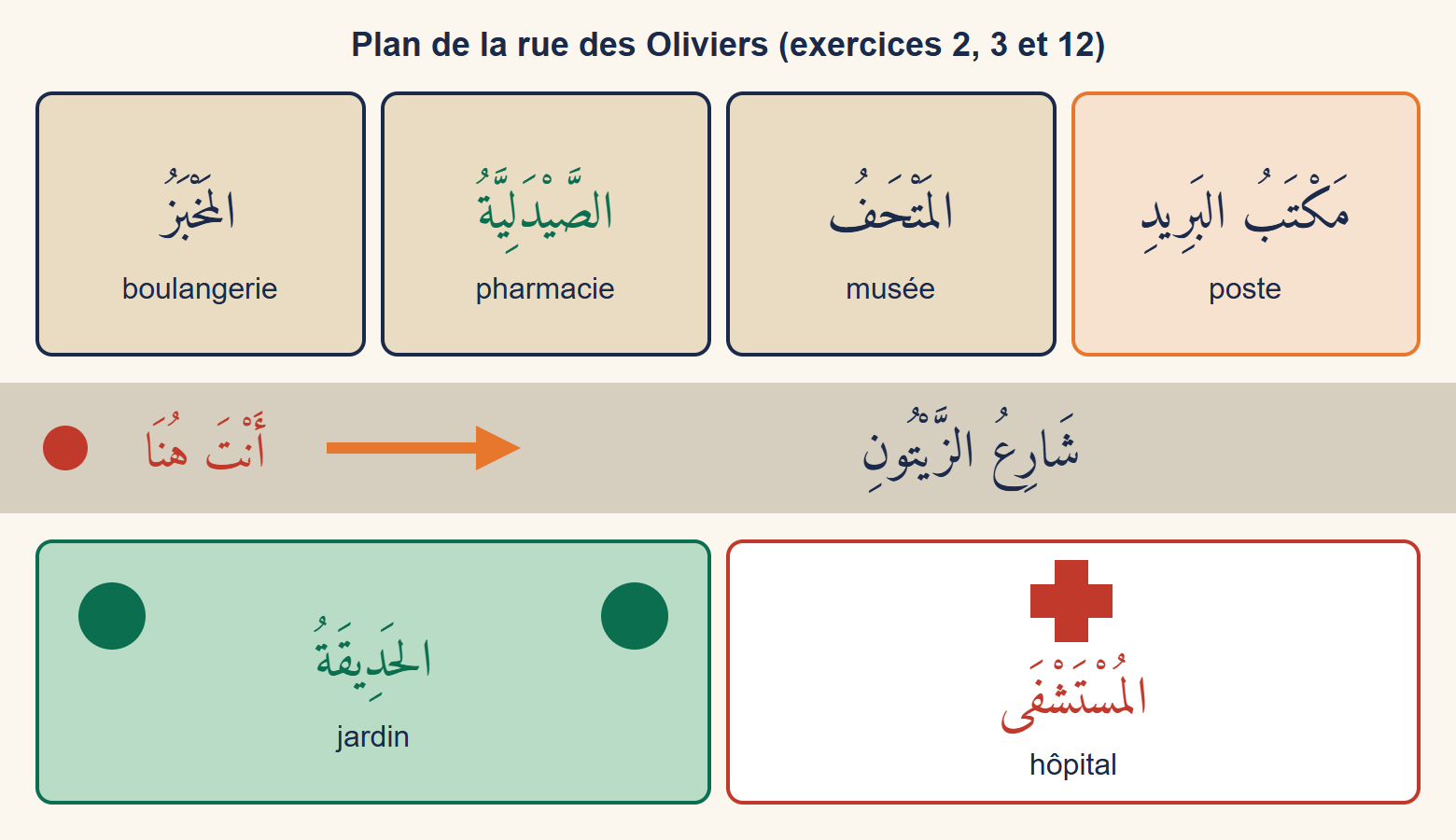 Plan de la rue des Oliviers : en haut la boulangerie, la pharmacie, le musée et la poste ; en bas le jardin et l'hôpital ; à gauche le point « tu es ici »
