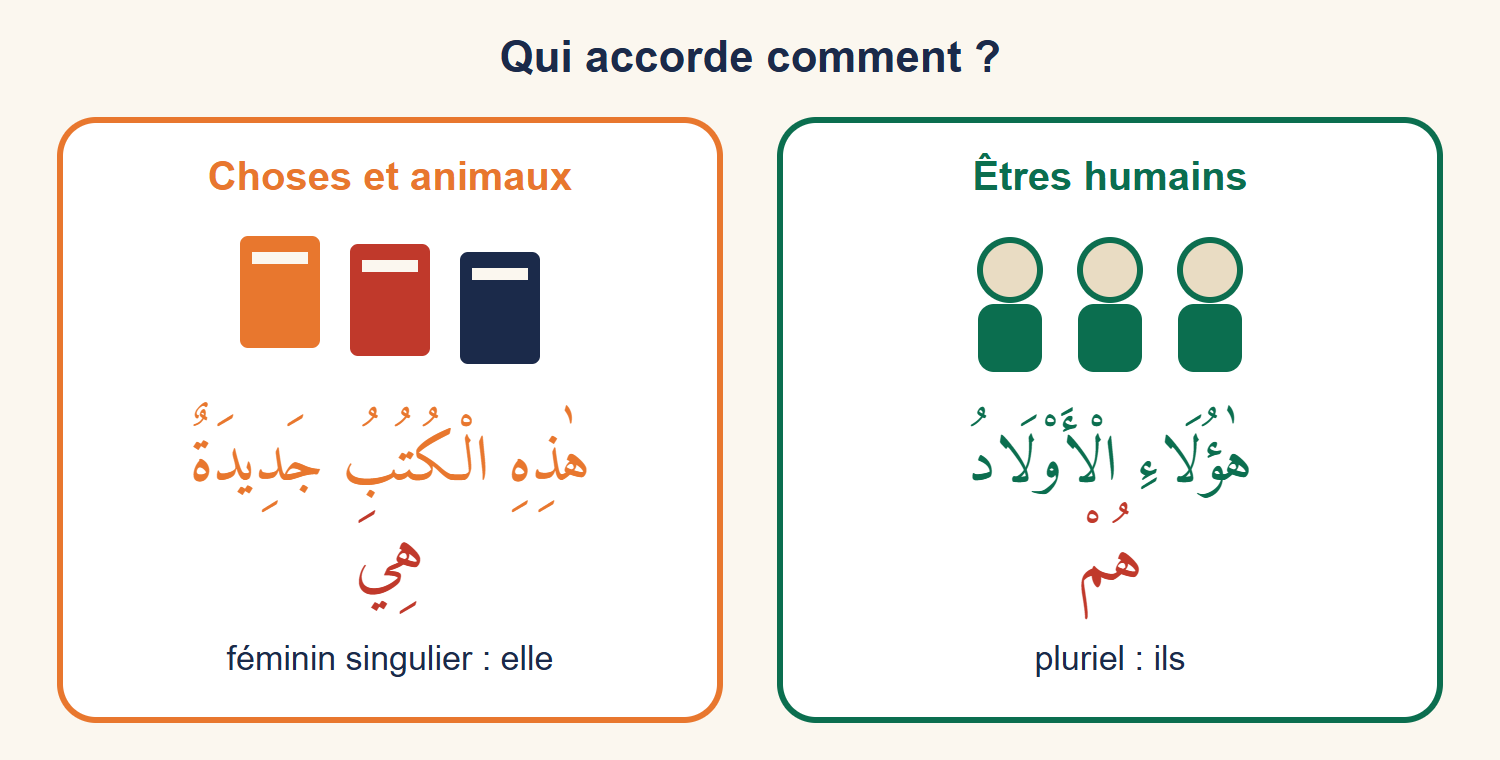 Deux cadres : à droite des personnages verts avec hāʾulāʾi al-ʾawlādu et le pronom hum, à gauche des livres orange avec hādhihi al-kutubu jadīdatun et le pronom hiya