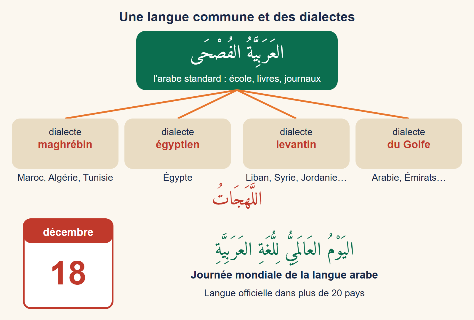 Schéma : l'arabe standard en haut relié à quatre dialectes (maghrébin, égyptien, levantin, du Golfe), et un calendrier du 18 décembre pour la Journée mondiale de la langue arabe