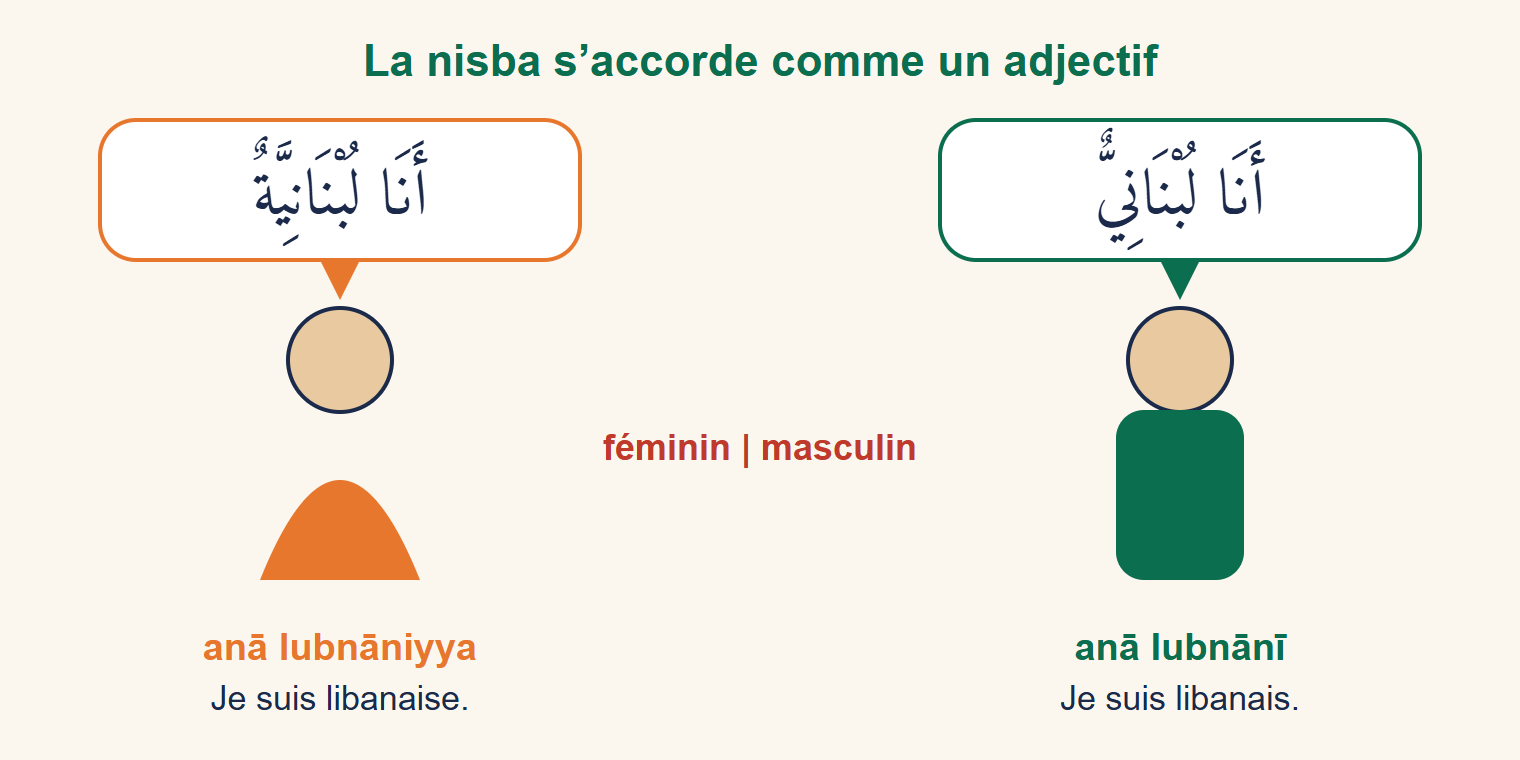 Un garçon dit anā lubnānī et une fille dit anā lubnāniyya dans deux bulles