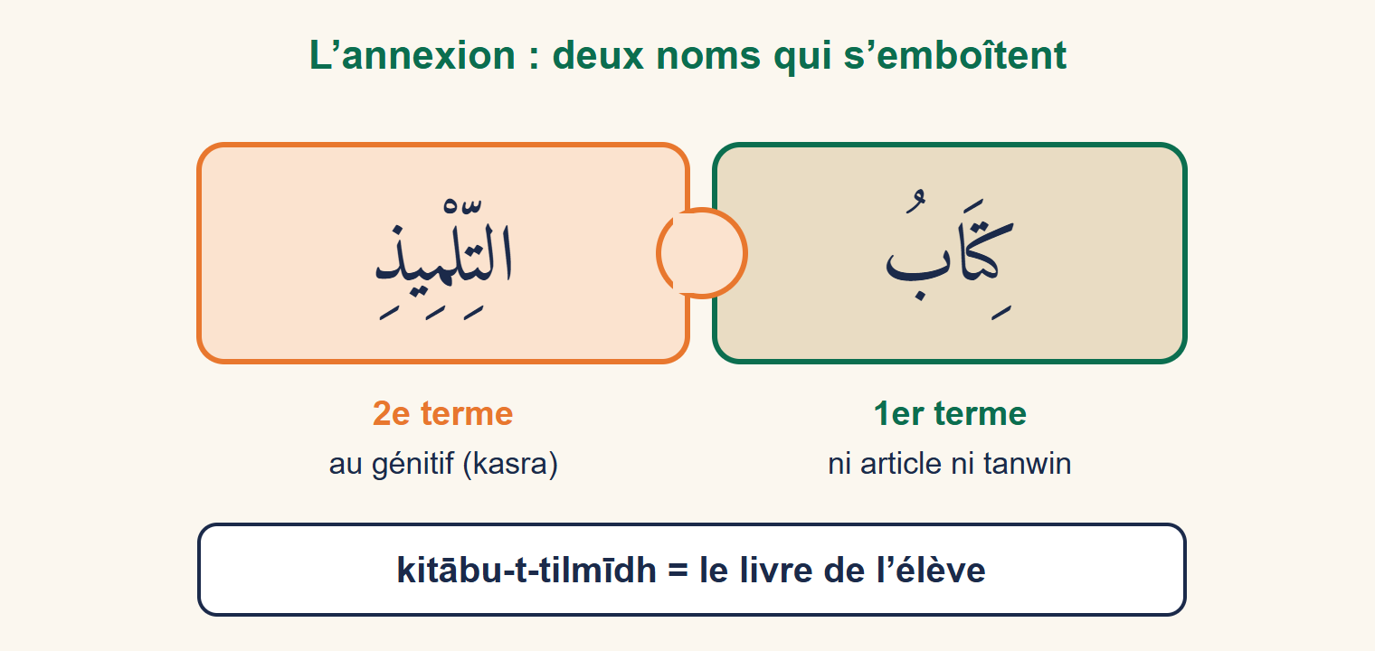 Deux pièces de puzzle emboîtées : kitābu, 1er terme sans article ni tanwin, et at-tilmīdhi, 2e terme au génitif