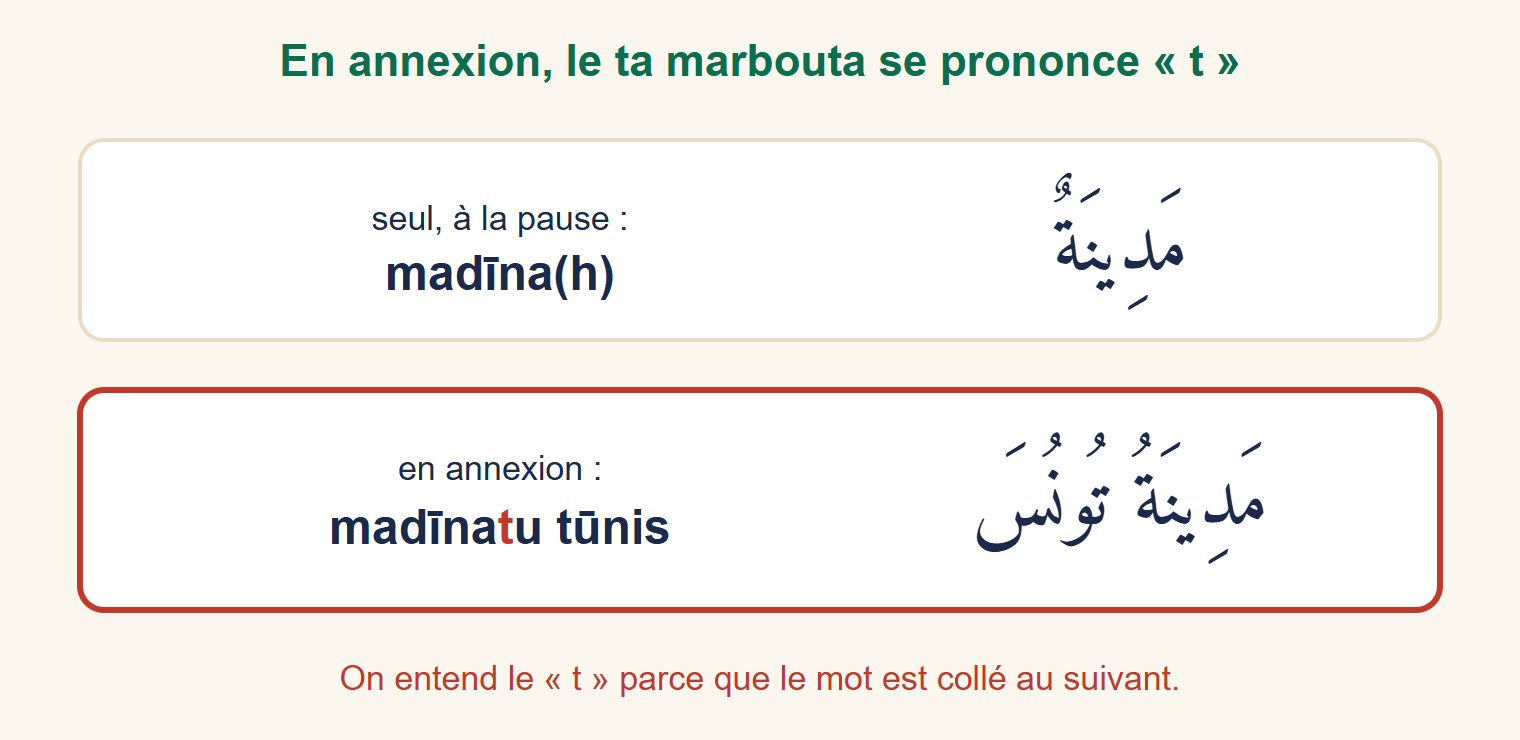 Comparaison : madīna seul à la pause, madīnatu tūnis en annexion avec le t mis en rouge