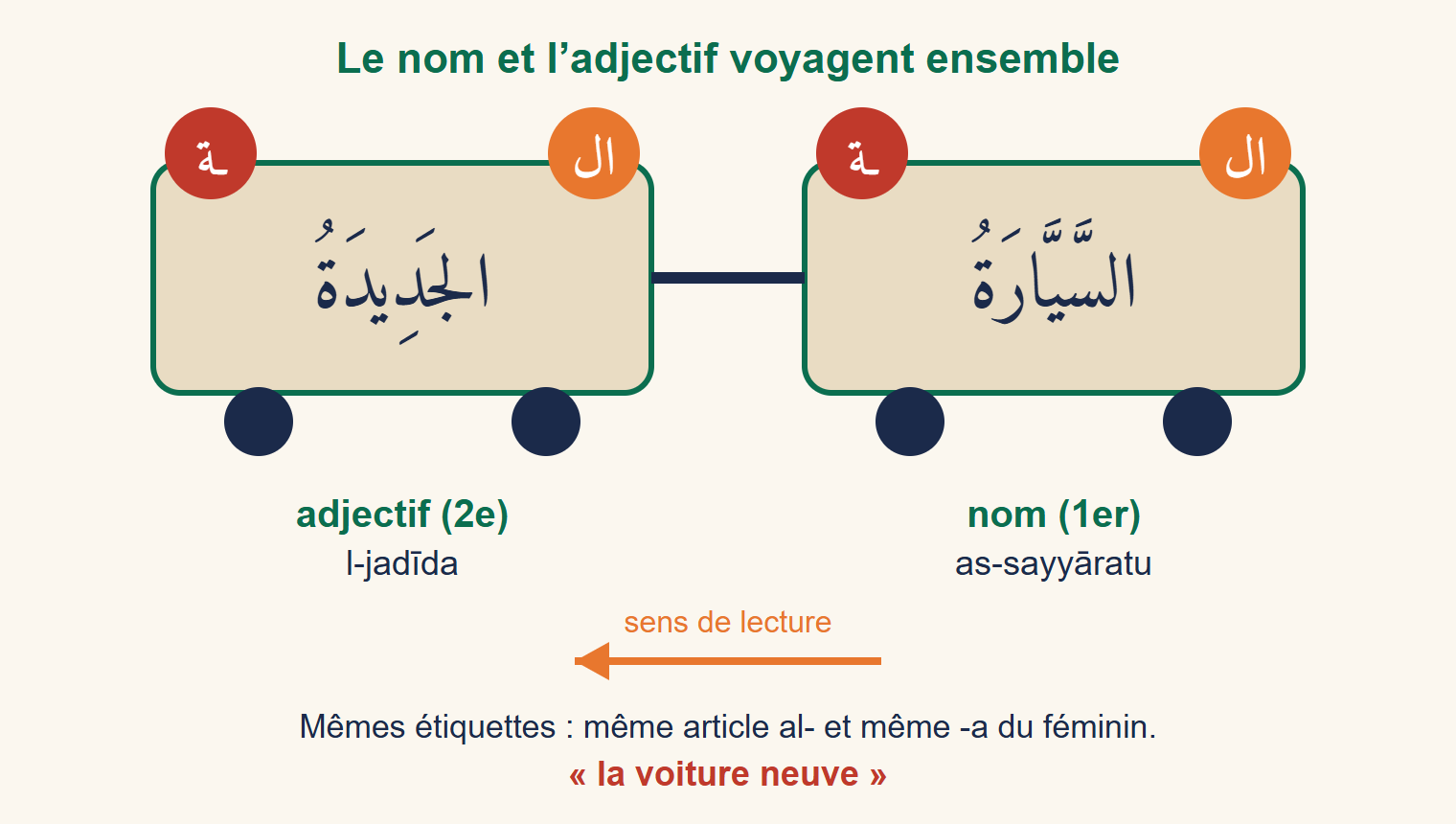 Deux wagons : as-sayyāratu (nom) puis al-jadīda (adjectif), chacun avec les étiquettes de l’article et du féminin
