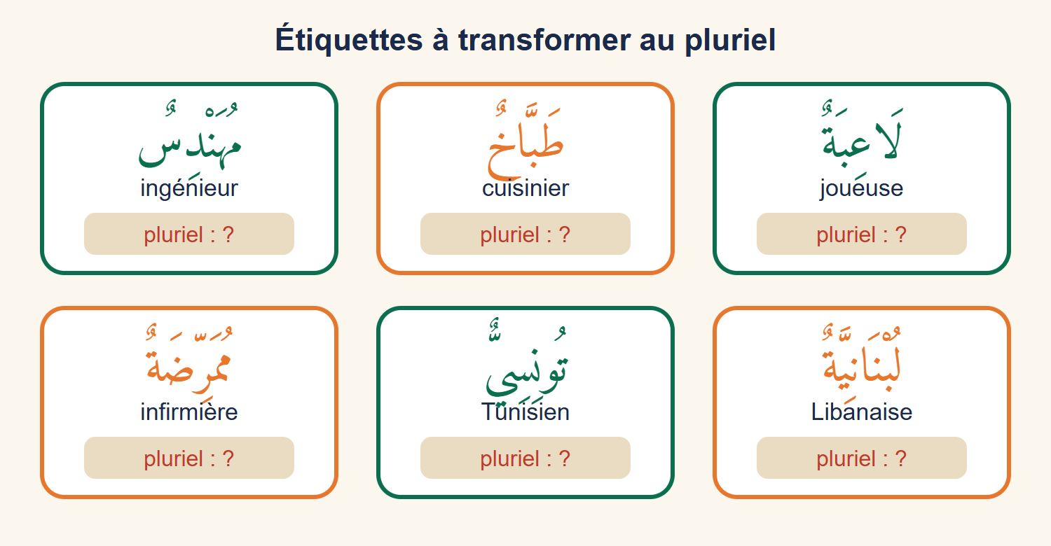 Six étiquettes avec un mot arabe et son sens : ingénieur, cuisinier, joueuse, infirmière, Tunisien, Libanaise, et une case « pluriel ? » sous chacune