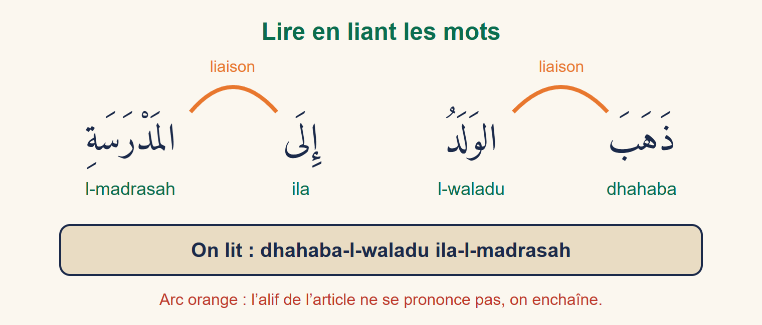 Phrase arabe dhahaba l-waladu ila l-madrasa avec des arcs orange reliant les mots là où l’alif de l’article ne se prononce pas