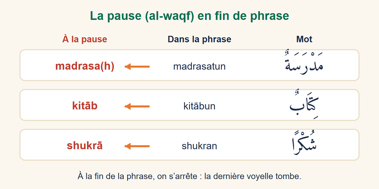 Tableau : madrasatun devient madrasa(h), kitābun devient kitāb, shukran devient shukrā à la pause