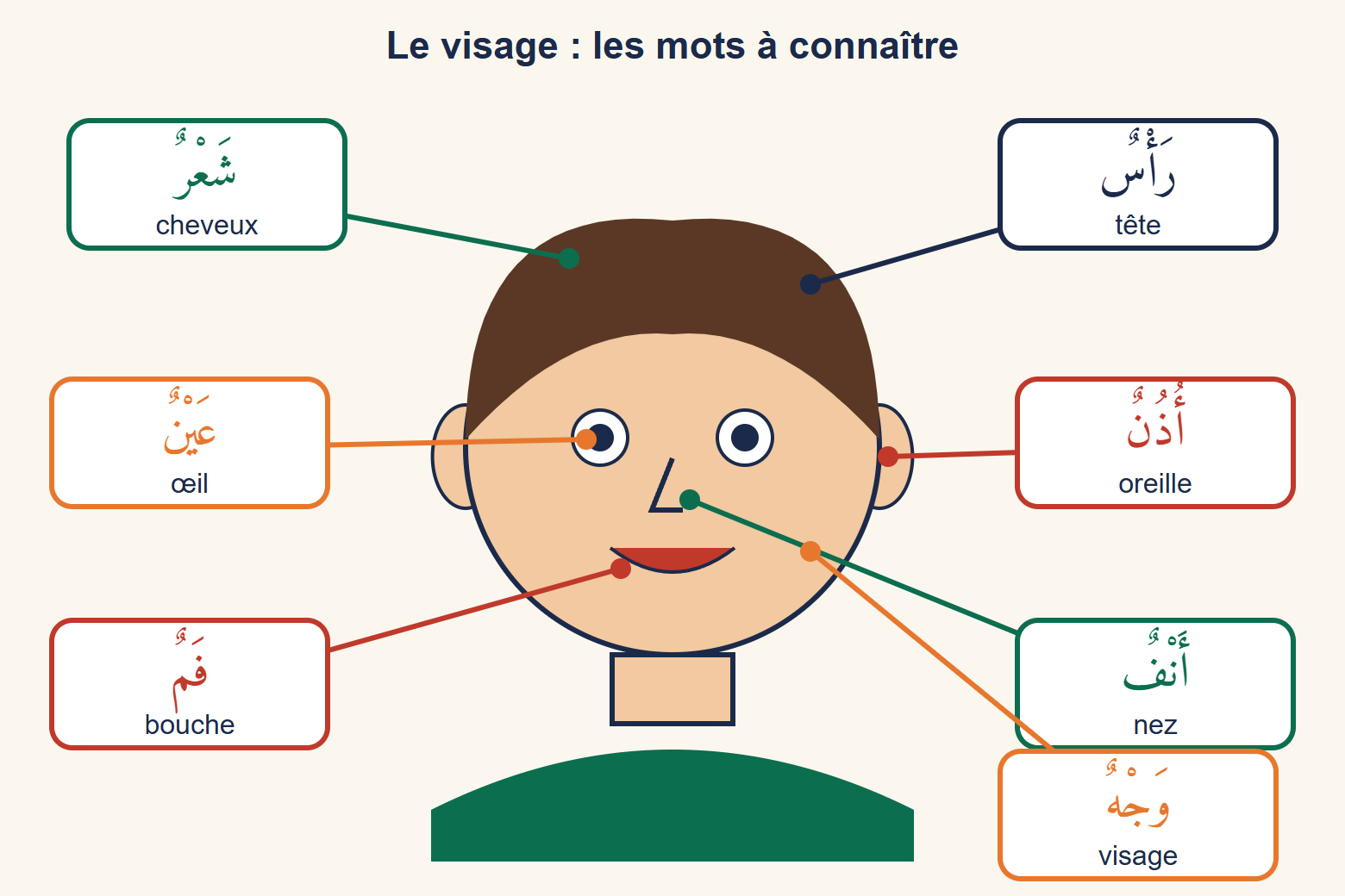 Visage d'enfant souriant entouré de sept étiquettes fléchées en arabe et en français : cheveux, tête, œil, oreille, bouche, nez et visage