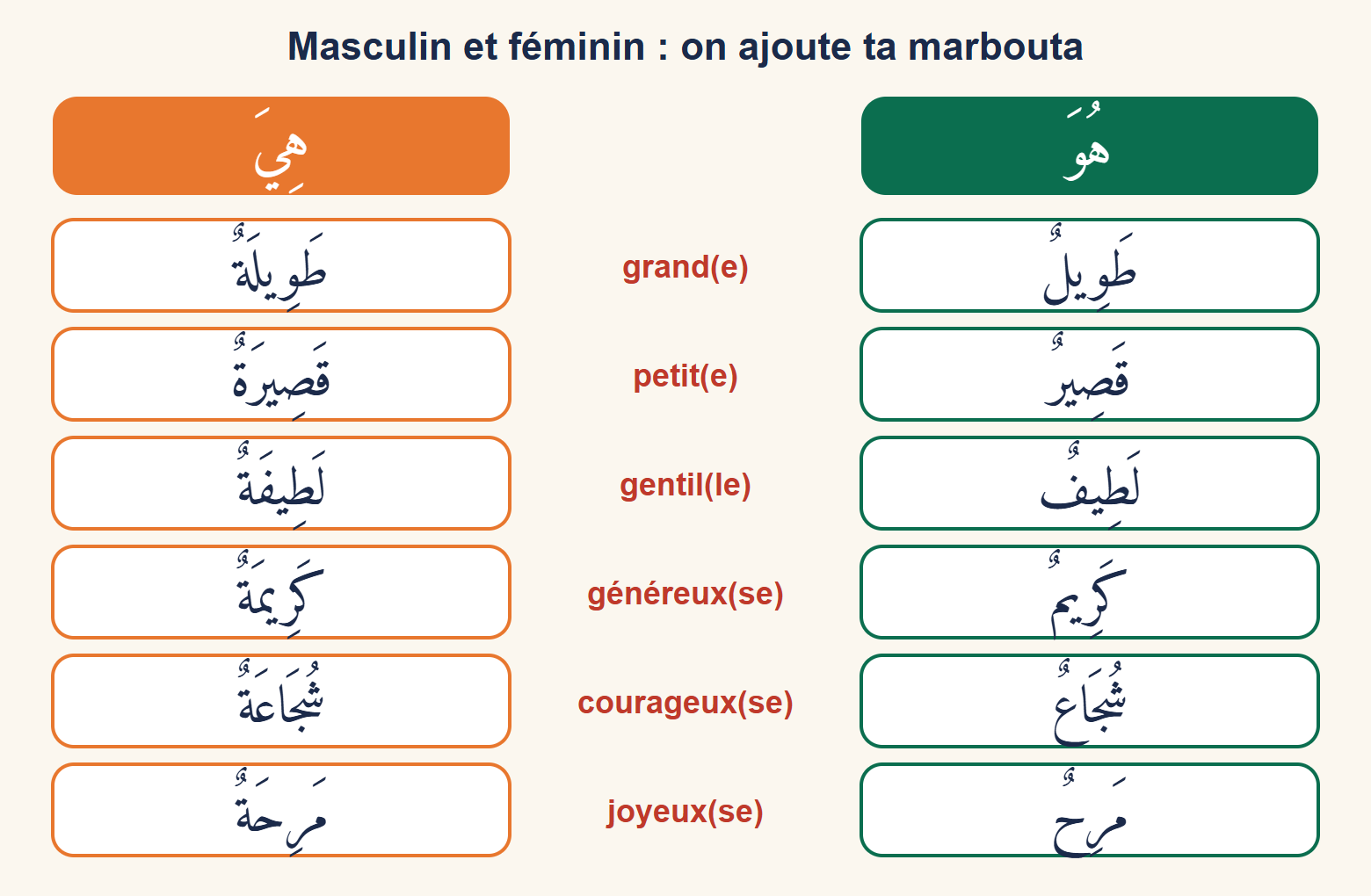 Tableau à deux colonnes, il en vert et elle en orange, avec six adjectifs au masculin et au féminin : grand, petit, gentil, généreux, courageux, joyeux