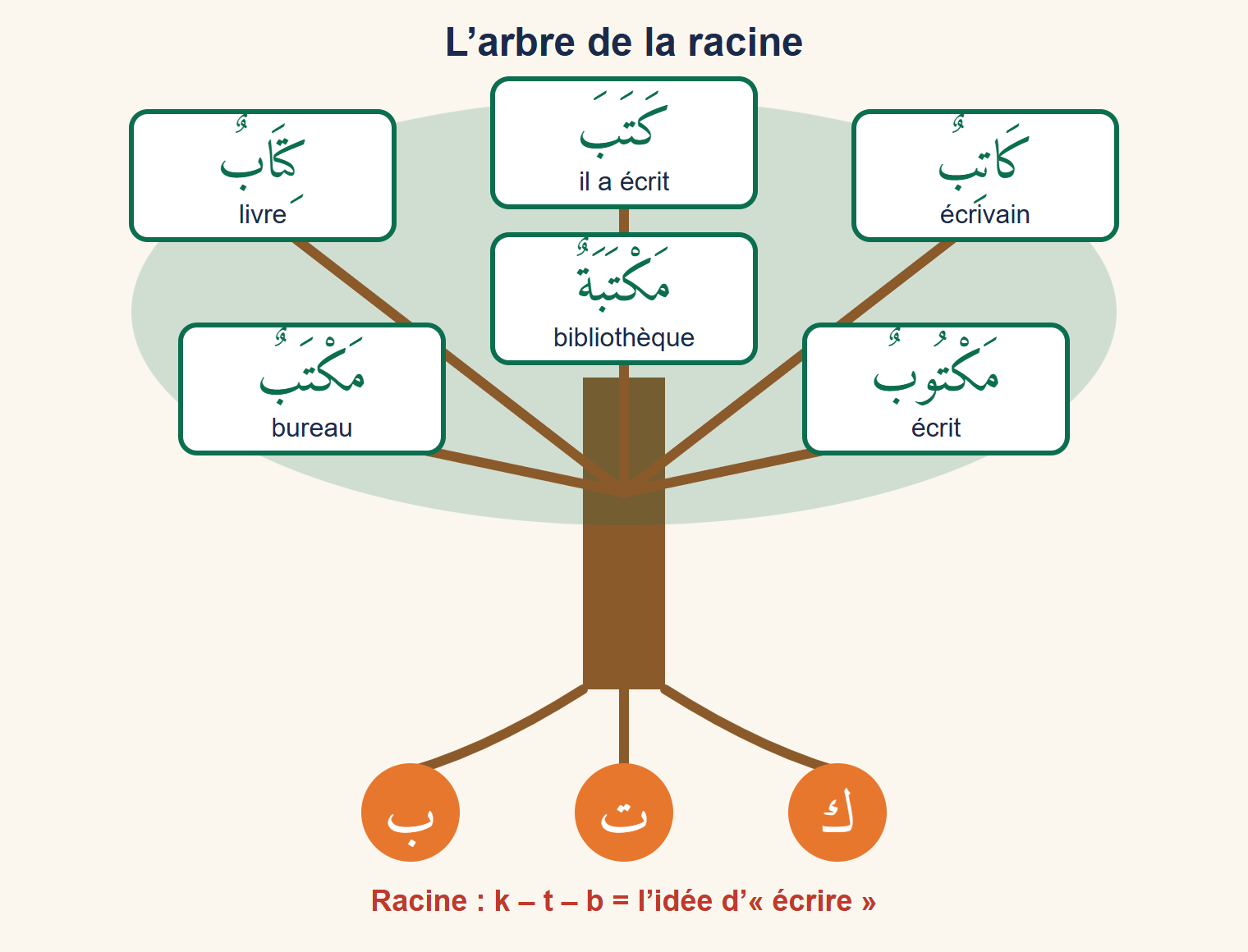 Un arbre : ses trois racines orange portent les lettres k, t, b ; ses branches portent les mots kitāb (livre), kataba (il a écrit), kātib (écrivain), maktab (bureau), maktūb (écrit) et maktaba (bibliothèque)