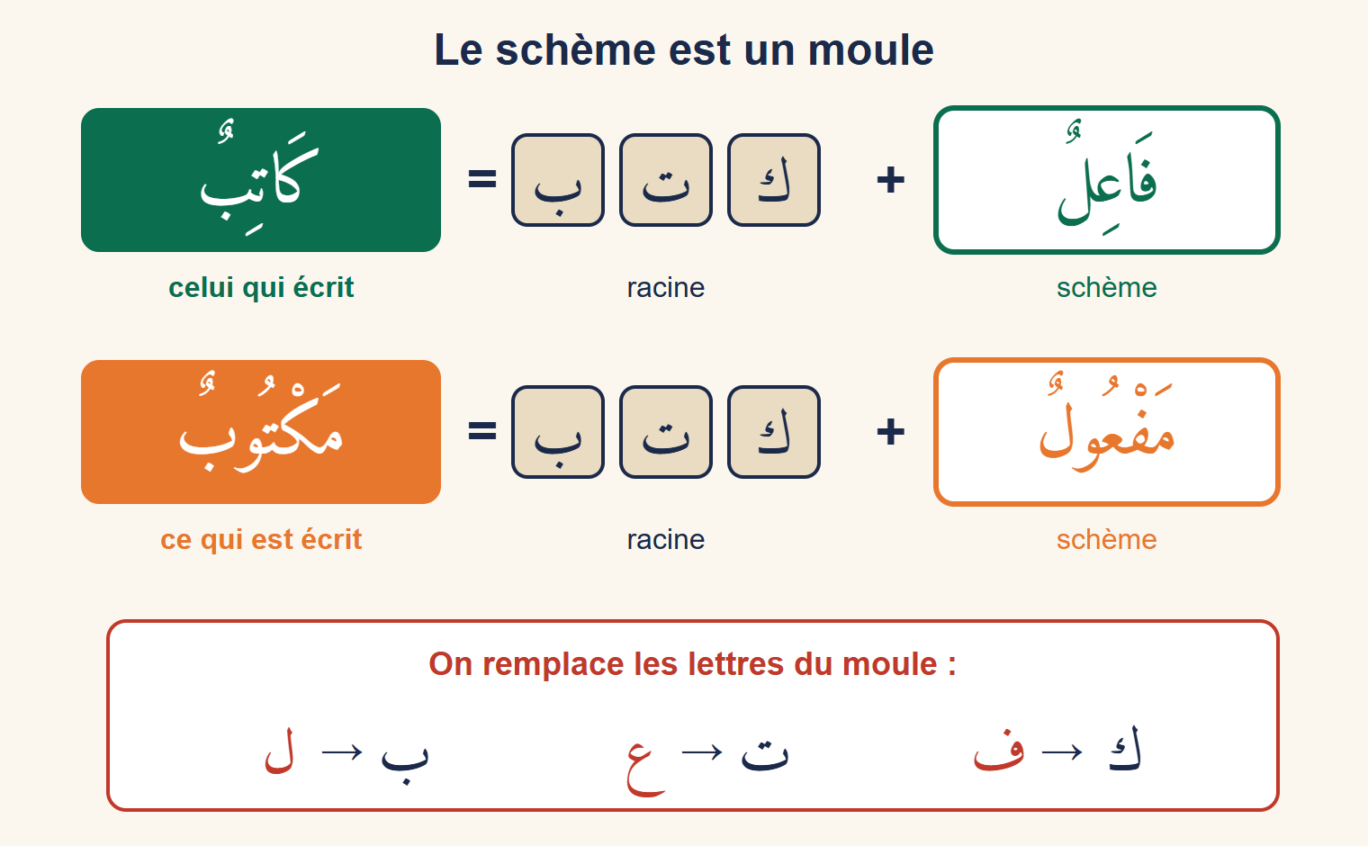 Schéma du moule : le schème fāʿil plus la racine k-t-b donne kātib, celui qui écrit ; le schème mafʿūl plus la même racine donne maktūb, ce qui est écrit ; en bas, les lettres f, ʿ, l du moule sont remplacées par k, t, b