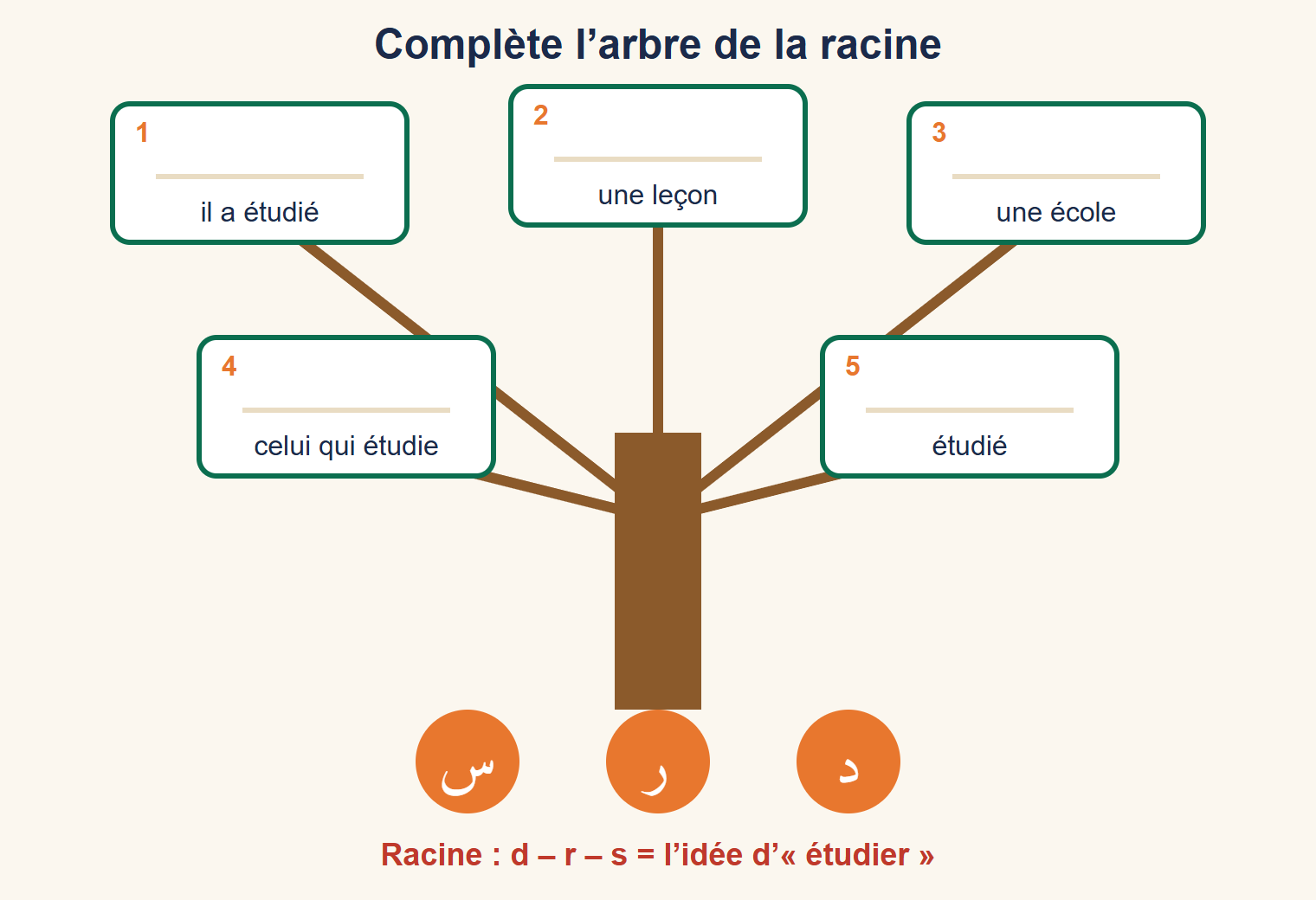 Arbre à compléter : la racine d, r, s en bas ; cinq branches avec des cases vides : 1 il a étudié, 2 une leçon, 3 une école, 4 celui qui étudie, 5 étudié