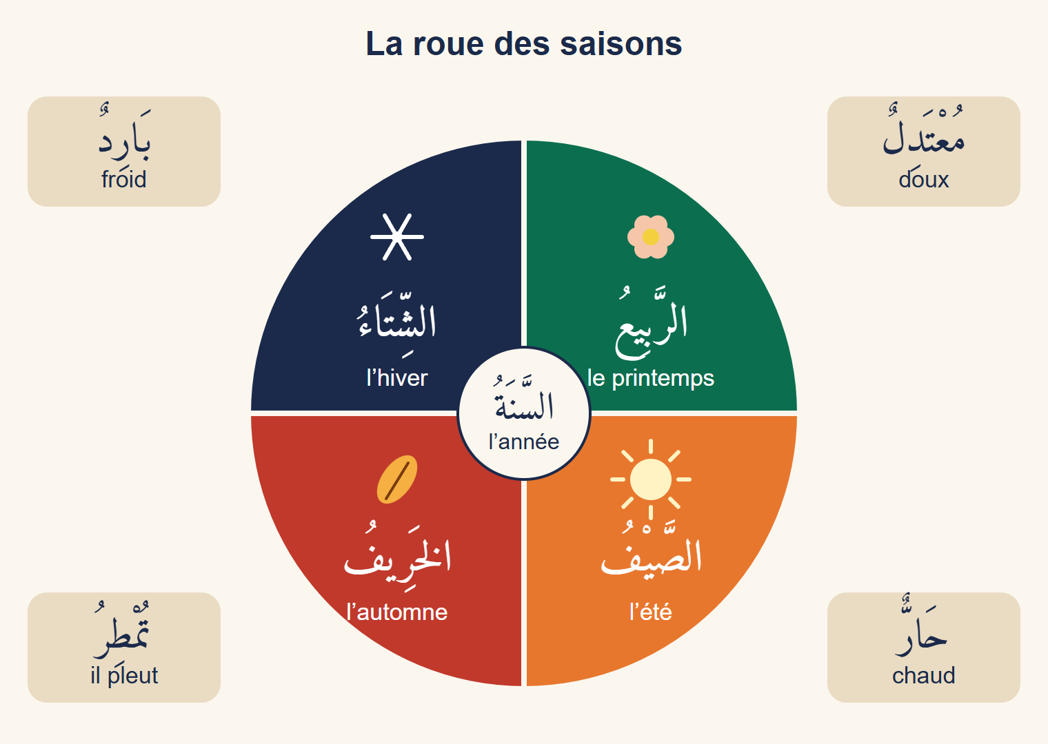 Roue des quatre saisons en arabe avec une fleur, un soleil, une feuille et un flocon, entourée des mots doux, chaud, il pleut et froid