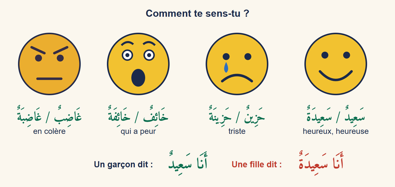 Quatre visages ronds et jaunes : un visage souriant (heureux), un visage triste avec une larme, un visage aux yeux écarquillés (qui a peur), un visage aux sourcils froncés (en colère), chacun nommé en arabe au masculin et au féminin