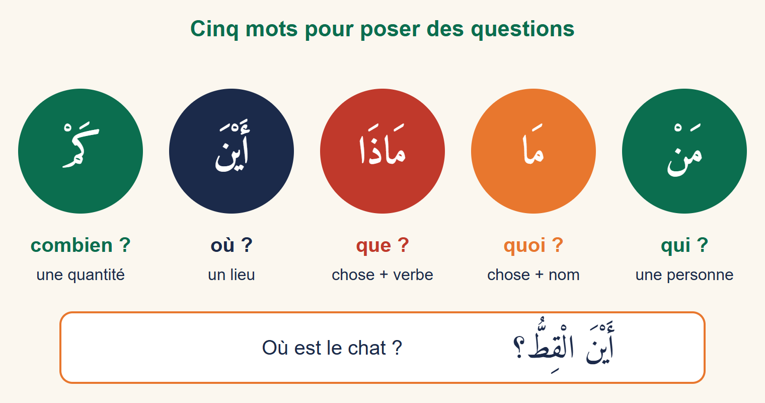 Cinq disques de couleur portant les mots interrogatifs arabes qui, quoi, que, où et combien, avec un exemple : où est le chat ?