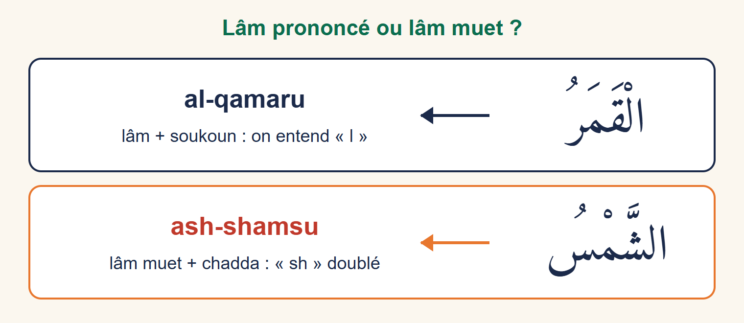 Schéma comparant al-qamaru, où le lâm se prononce avec un soukoun, et ash-shamsu, où le lâm est muet et la lettre suivante porte une chadda