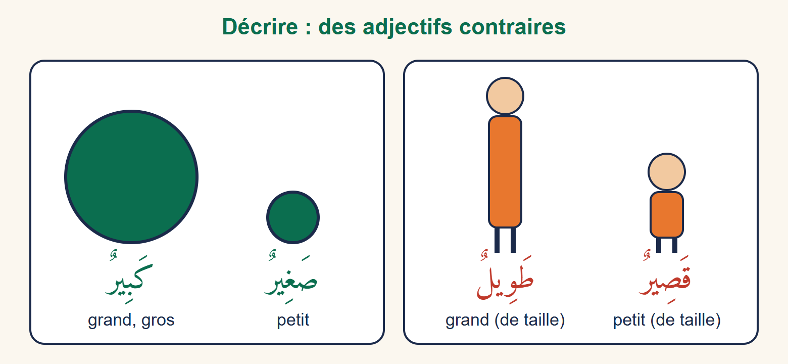 Deux cadres : un grand et un petit disque vert pour grand et petit, puis une personne de grande taille et une de petite taille