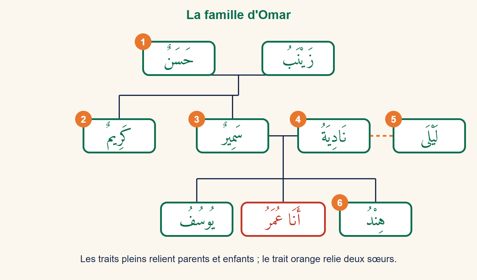 Arbre de la famille d'Omar : Hassan et Zeineb en haut ; Karim, Samir, Nadia et sa sœur Leila au milieu ; Youssef, Omar et Hind en bas