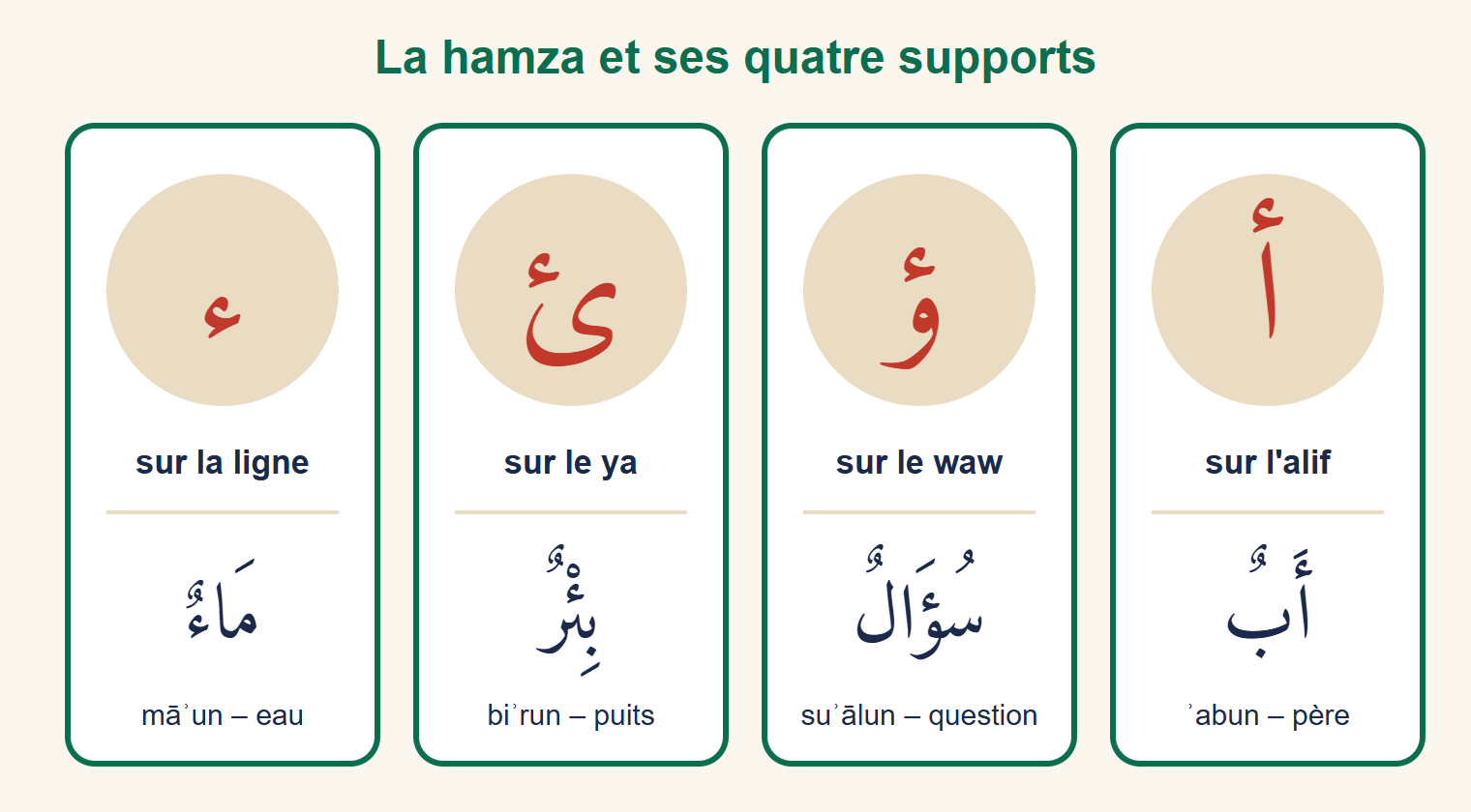 Quatre fiches montrant la hamza sur un alif avec le mot abun, sur un waw avec le mot suʾalun, sur un ya sans points avec le mot biʾrun, et seule sur la ligne avec le mot maʾun