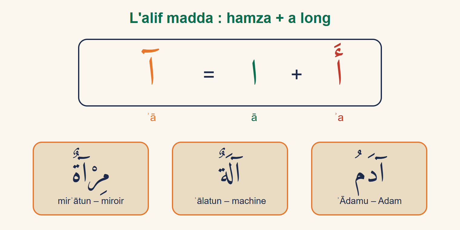 Égalité hamza sur alif avec fatha plus alif égale alif madda, puis trois exemples : Adam, machine et miroir