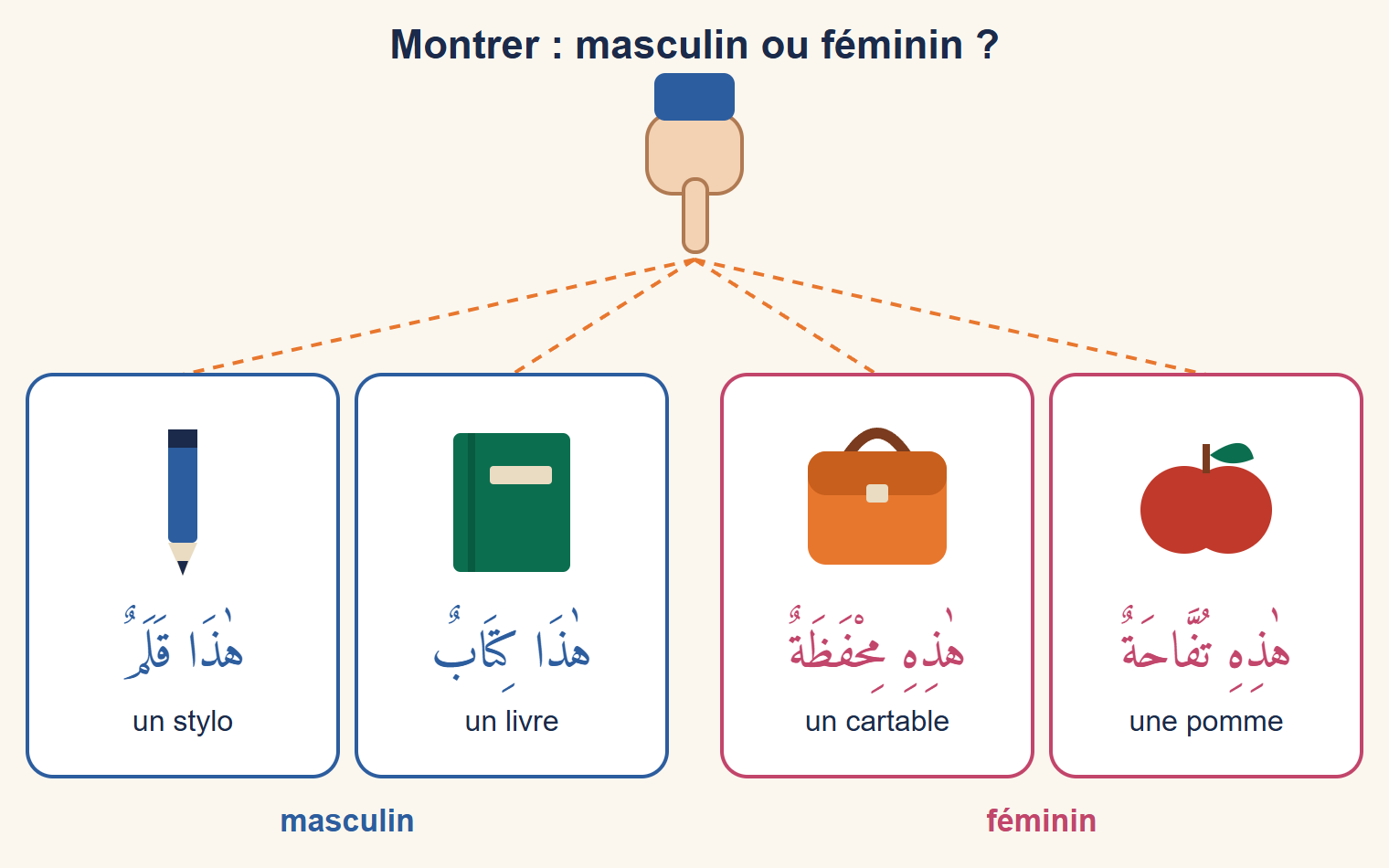 Une main montre quatre objets dessinés : un stylo et un livre légendés avec le démonstratif masculin, un cartable et une pomme légendés avec le démonstratif féminin