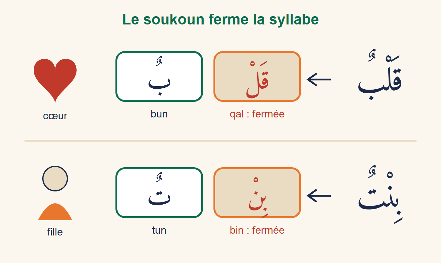 Le mot arabe qalbun découpé en deux syllabes, qal en orange et bun, puis le mot bintun découpé en bin et tun, avec un cœur et une fille dessinés