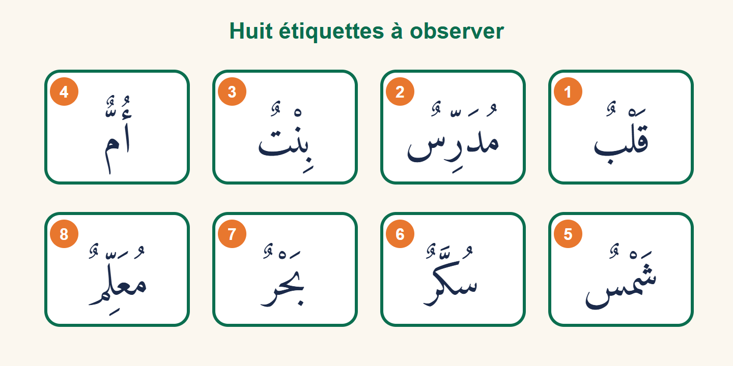 Huit étiquettes numérotées portant chacune un mot arabe vocalisé : qalbun, mudarrisun, bintun, ummun, shamsun, sukkarun, bahrun, muallimun