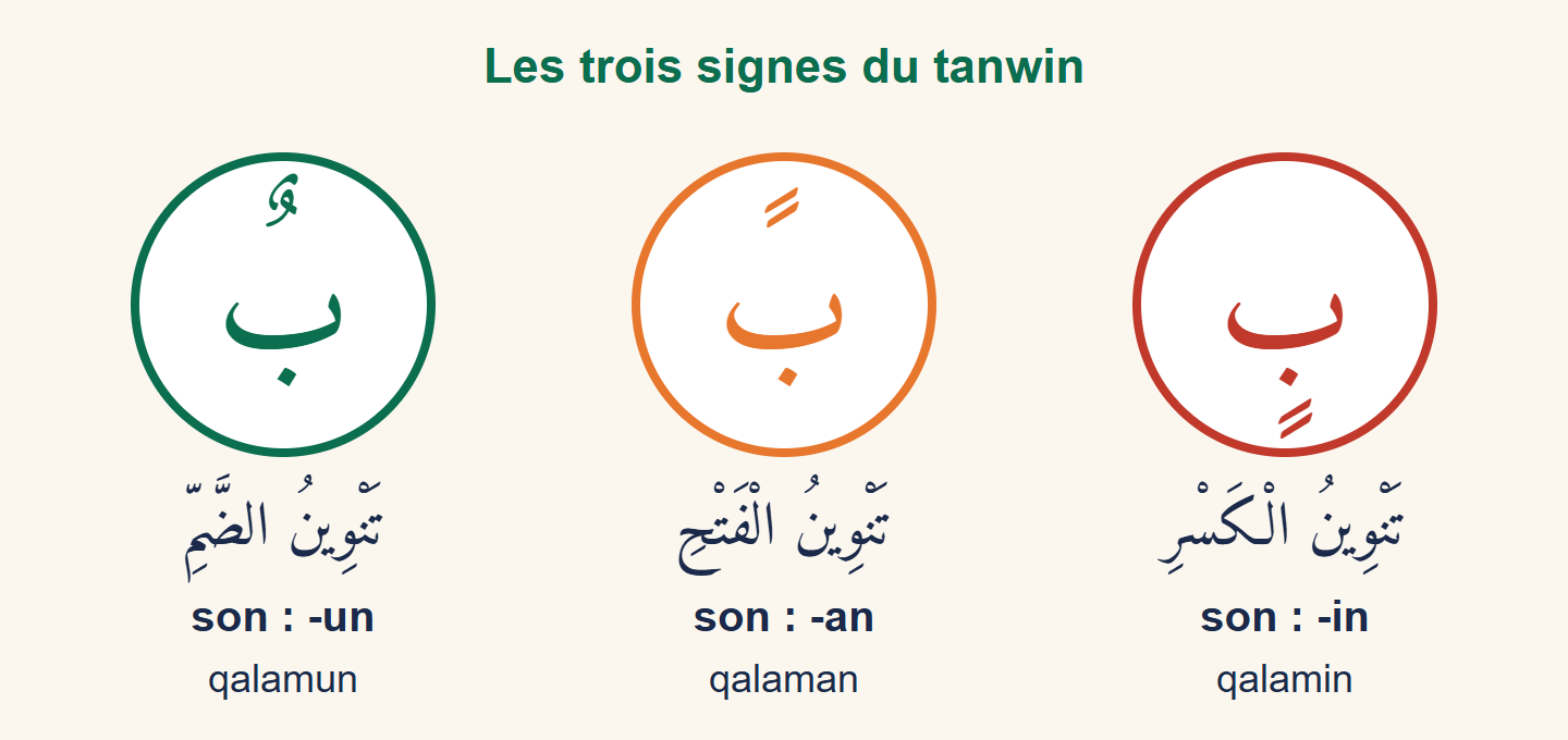 Les trois signes du tanwin dans des cercles de couleur, avec leur nom arabe et leur son : -un, -an, -in