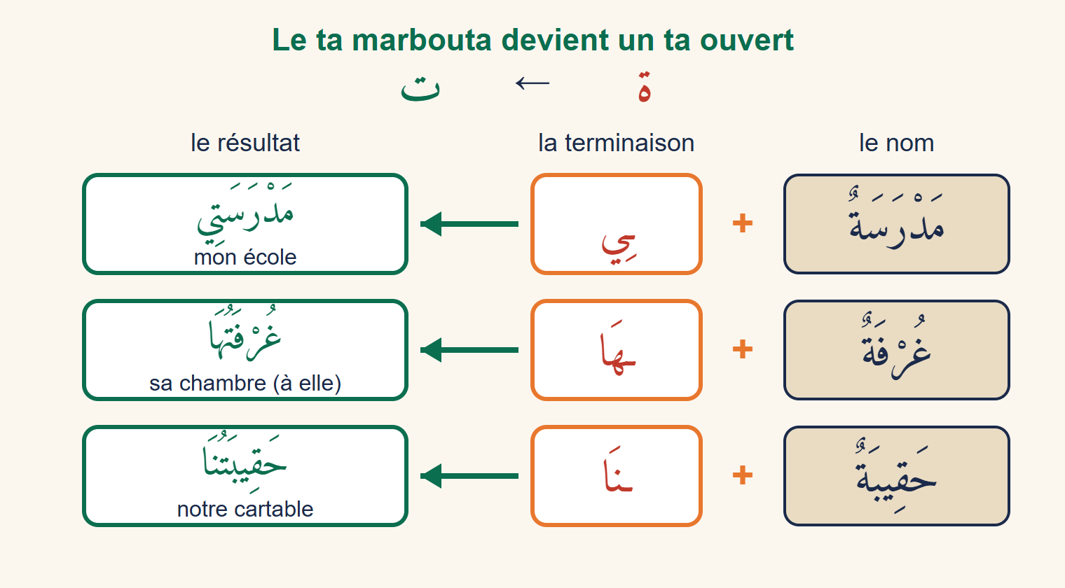 Trois lignes montrant un nom en ta marbouta, plus une terminaison, qui donnent un nom avec ta ouvert : mon école, sa chambre, notre cartable