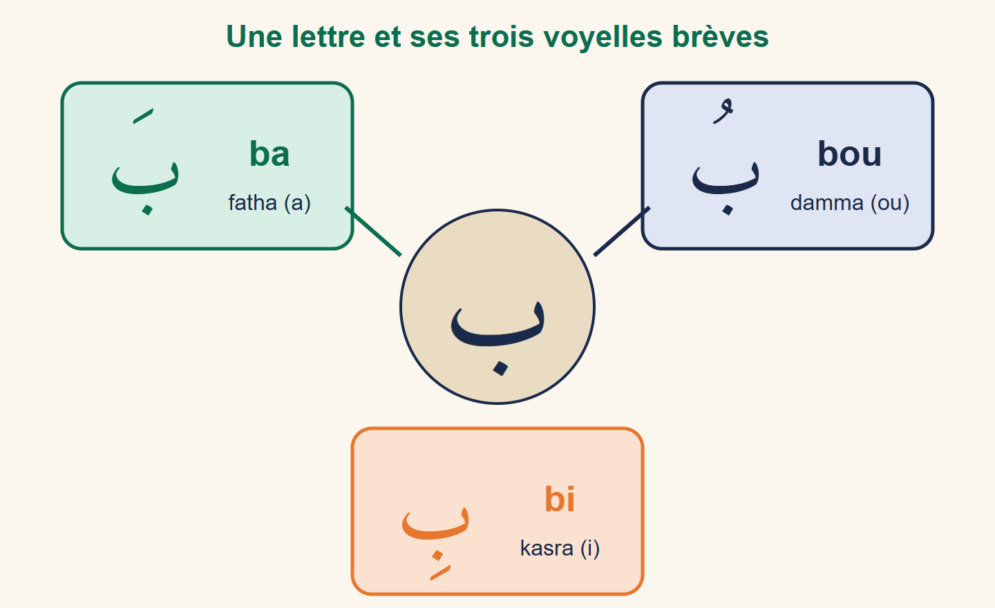 La lettre bāʾ au centre, reliée à trois cartes : ba avec la fatha, bi avec la kasra et bou avec la damma