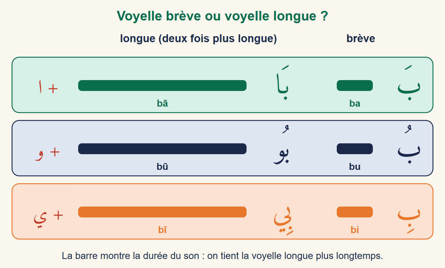 Trois lignes comparent ba et bā, bu et bū, bi et bī : une barre courte pour la voyelle brève, une barre longue pour la voyelle longue
