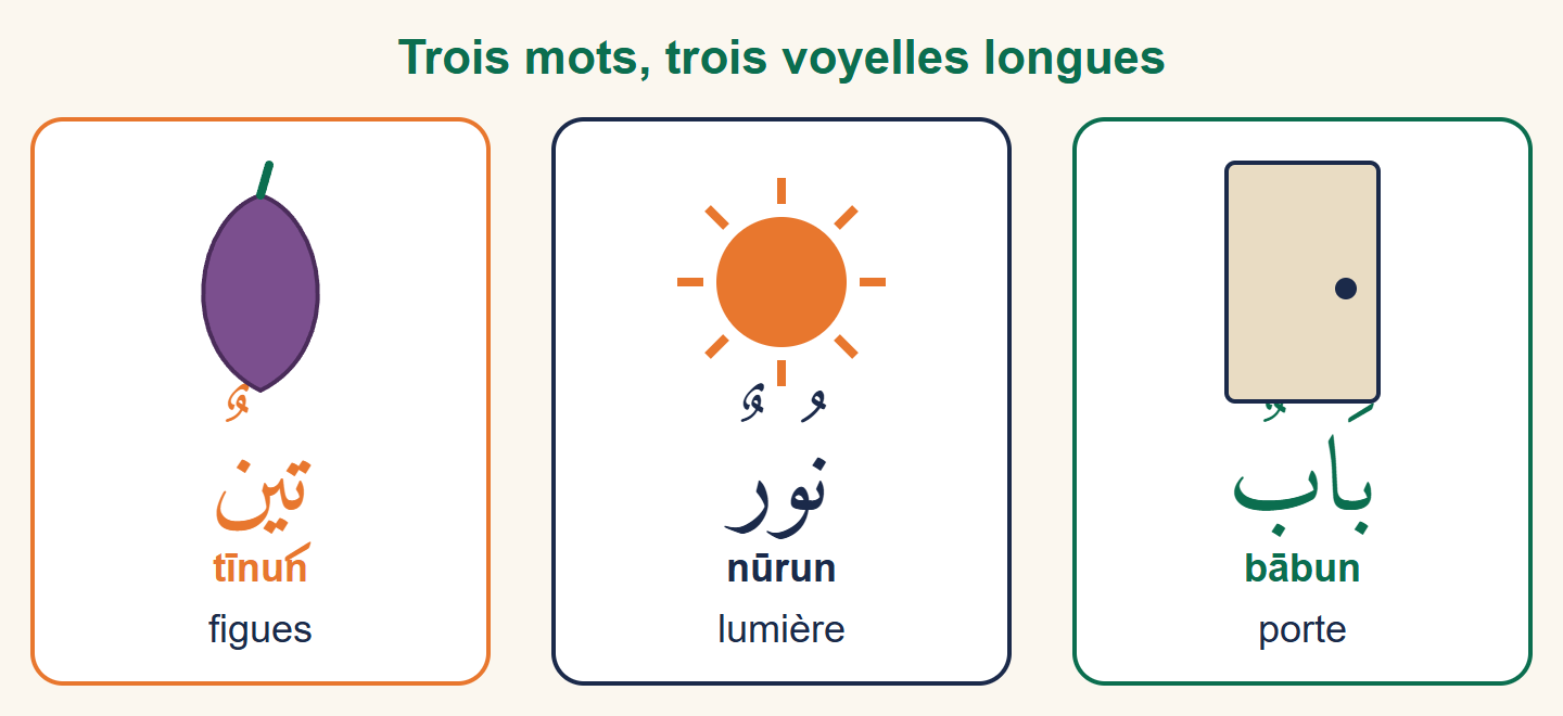 Trois cartes illustrées : une porte pour bābun, un soleil pour nūrun, une figue pour tīnun
