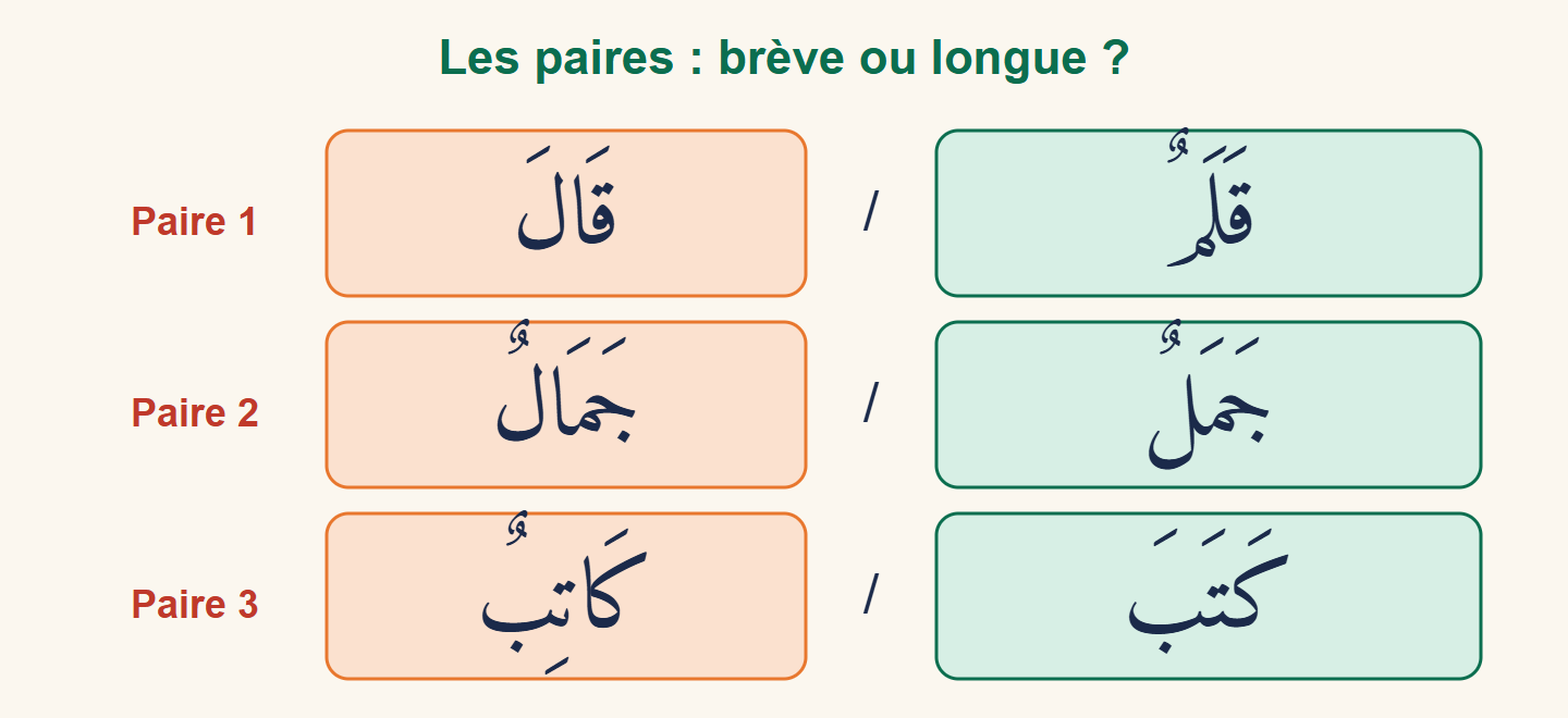 Trois paires de mots arabes : qalamun et qāla, jamalun et jamālun, kataba et kātibun, une carte verte à droite et une carte orange à gauche