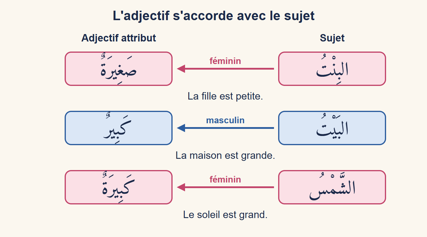 Schéma de trois phrases : le sujet à droite et l'adjectif à gauche portent la même couleur ; la fille est petite, la maison est grande, le soleil est grand