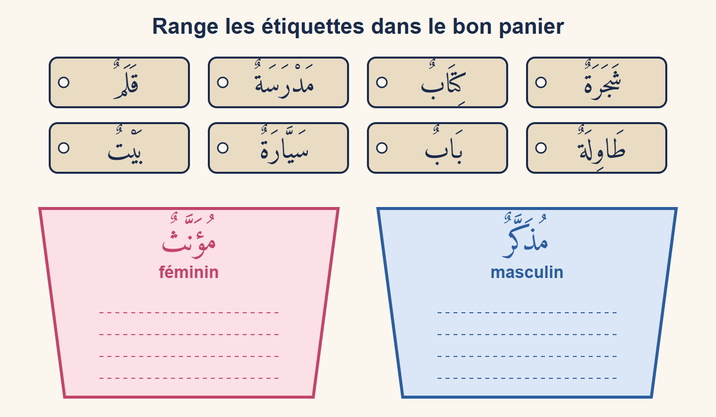 Huit étiquettes-mots en arabe (stylo, école, livre, arbre, maison, voiture, porte, table) au-dessus de deux paniers : masculin en bleu, féminin en rose