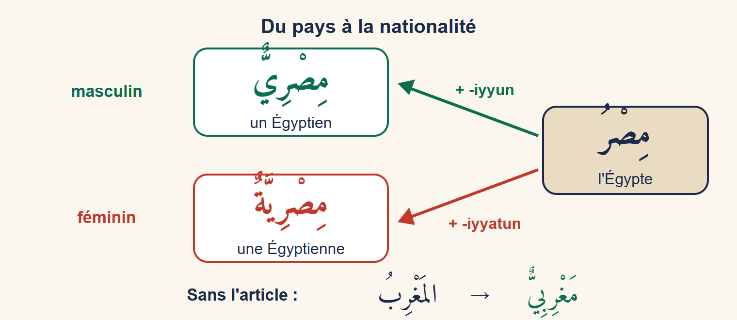 Schéma : du nom de pays Égypte, une flèche verte mène au masculin égyptien et une flèche rouge au féminin égyptienne ; en bas, le Maroc donne marocain sans l'article