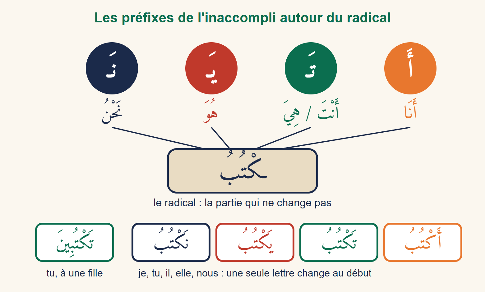 Quatre disques de couleur portant les préfixes a, ta, ya et na reliés au radical ktubu, et en dessous les cinq formes du verbe écrire