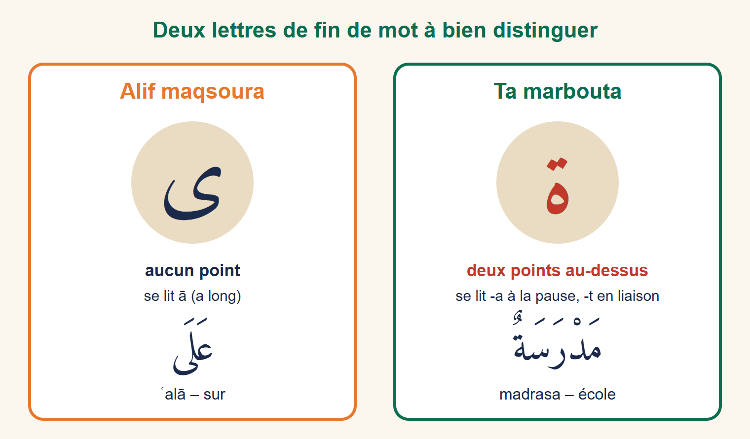 Deux fiches côte à côte : à droite la ta marbouta avec ses deux points et le mot madrasa, école ; à gauche l'alif maqsoura sans aucun point et le mot ʿala, sur